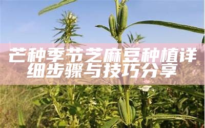 芒种季节芝麻豆种植详细步骤与技巧分享